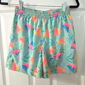 Chubbies Mens Swim Trunks Blue Beach Palm Trees Flamingo Retro Lined Size‎ Small